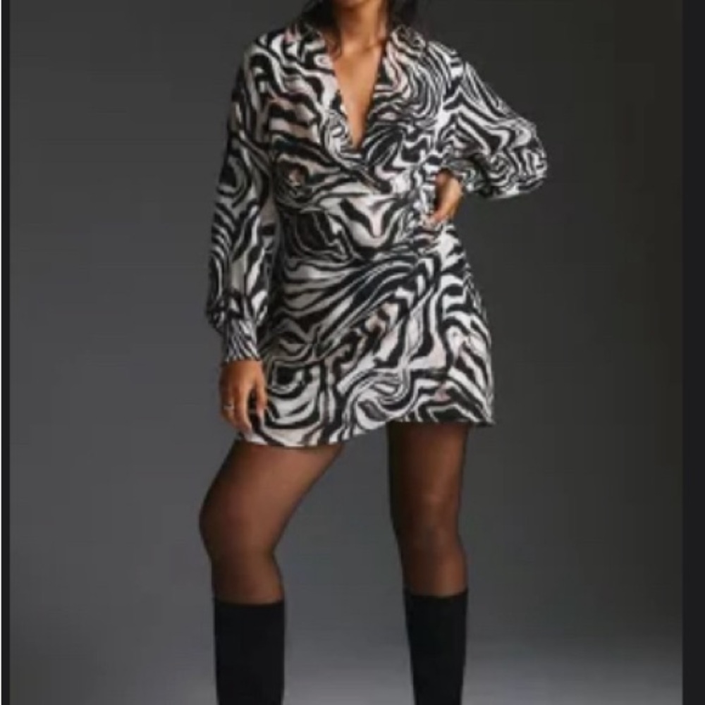 Zebra 🦓 print mini dress